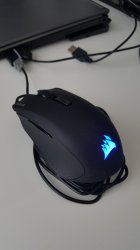 mouse.jpg