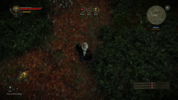 The Witcher 2 4.12.2022 18.05.36.png