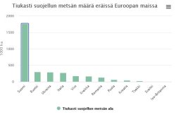 metsä.JPG