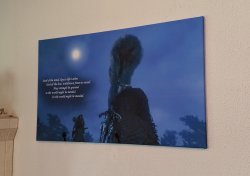 IMG_20180517_161707.jpg