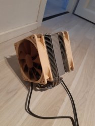 noctua1.jpg