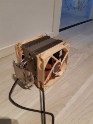 noctua2.jpg