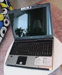 acer2.jpg