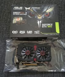 Strix960.jpg