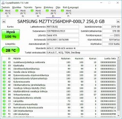 Samsung 256gbssd.jpg