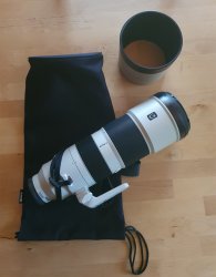 sony200-600.jpg