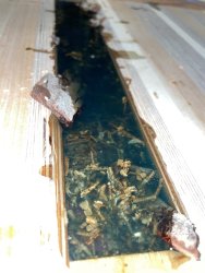 IMG_5572.jpg