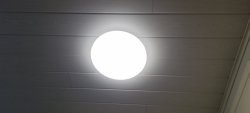 20230628_133917.jpg