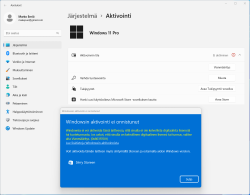 Windows 11 Pro aktivointi virheilmoitus.png