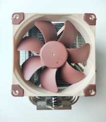 noctua_1.jpg