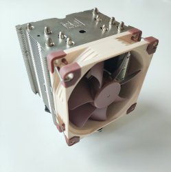 noctua_2.jpg