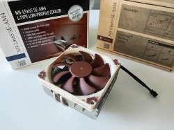 noctua_1.jpg