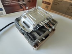 noctua_2.jpg