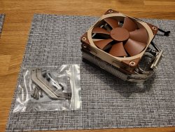 noctua2.jpg