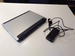 acer2.jpg