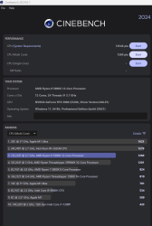 cinebench 2024_2.png