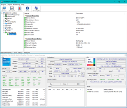 HWInfo- Lenovo Thinkpad T14s Gen2.PNG