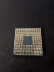 IMG_0235.jpeg