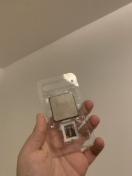 IMG_0546.jpeg
