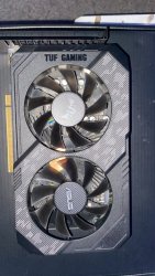 IMG_2636.jpeg