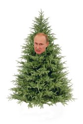 putin kuusi.jpg