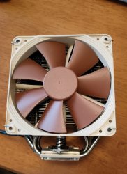 noctua1.jpg