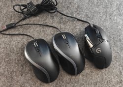 mouses.jpg