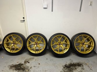 Vossen.jpg Vossen.jpg