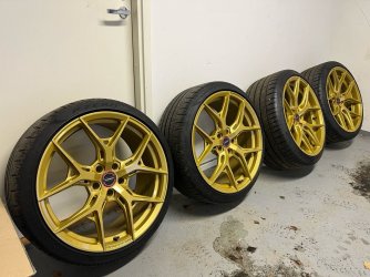Vossen2.jpg Vossen2.jpg