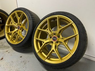 Vossen3.jpg Vossen3.jpg
