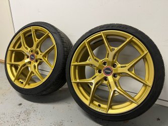Vossen4.jpg Vossen4.jpg