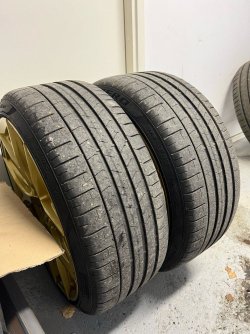 Vossen6.jpg Vossen6.jpg