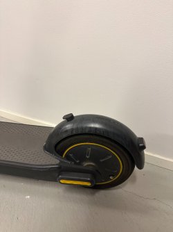 IMG_9946.JPEG IMG_9946.JPEG