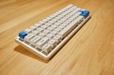 whitefox-4.jpg