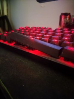 n3.jpg n3.jpg