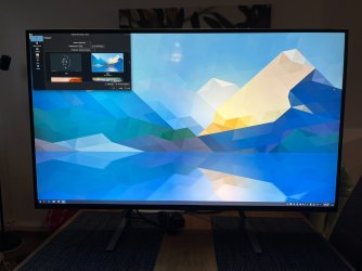 acer1.JPEG acer1.JPEG