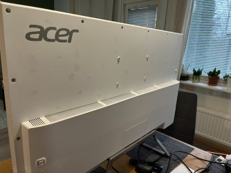 acer2.JPEG acer2.JPEG
