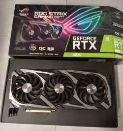 Strix 2.jpeg Strix 2.jpeg