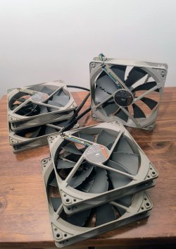 noctua2.jpg