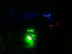 IMG_0113.JPG