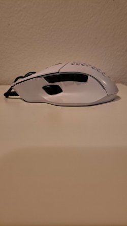 20250428_202256.jpg