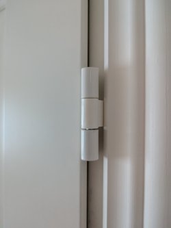 PXL_20250519_181001711.jpg