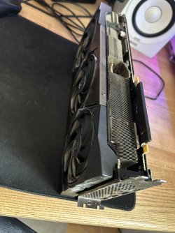 IMG_8137.jpeg