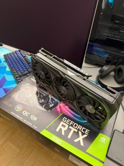 strix3.jpg strix3.jpg