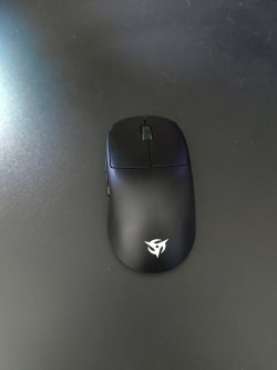 1000004984.jpg