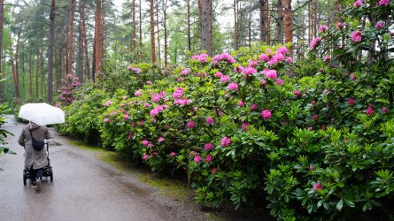 18-55 (2).JPG