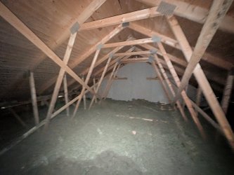 PXL_20250608_132520861.jpg