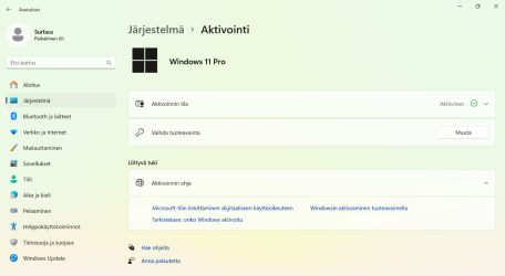 Näyttökuva 2025-06-12 133157.png