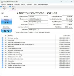 Kingston NV2 500GB_1.jpg