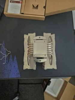 20250626_104957.jpg